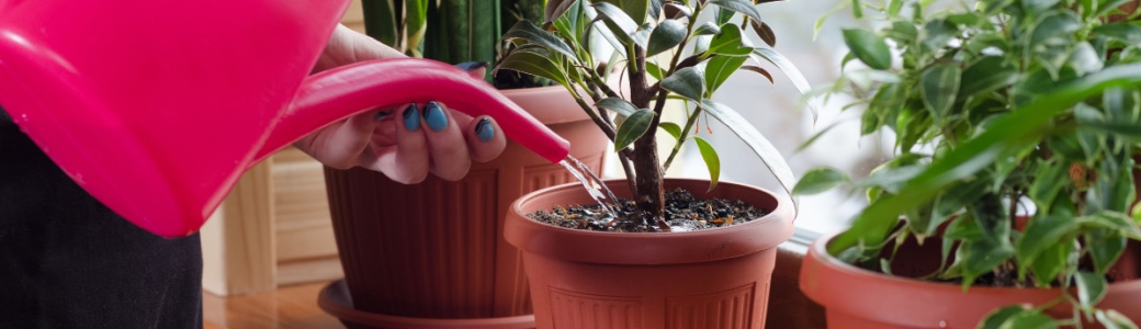 How to use an unexpected windfall to create long-term prosperity