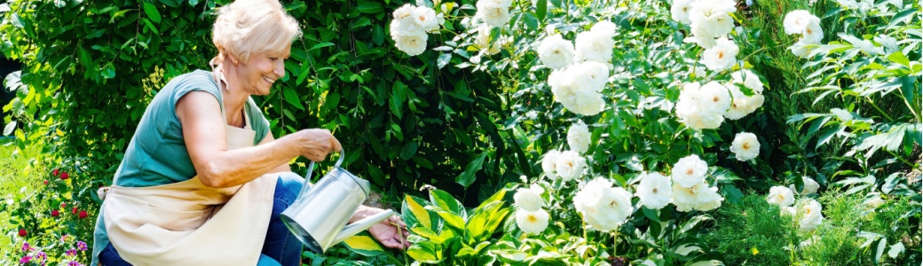 A woman tending to a garden.